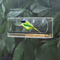 Acrylic Outdoor Hanging Bird Feeder Storage OEM  Clear  Window Bird Feeder for Sale