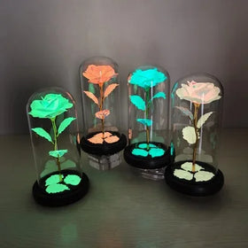 Forever Rose Fluorescent Flower in Glass Dome with LED Light Wedding Decoration Gift Mothers Day Valentines Day