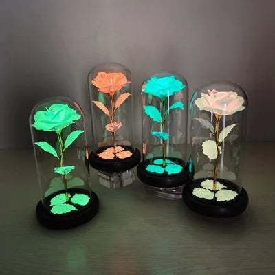 Forever Rose Fluorescent Flower in Glass Dome with LED Light Wedding Decoration Gift Mothers Day Valentines Day