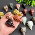 Wholesale Hand Carved Crystal Jade Animal Skulls Obsidian Crystal Owl Skulls for Decor