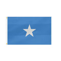 Hot Selling 3x5ft Large Digital Printing Polyester National Somalia Flag