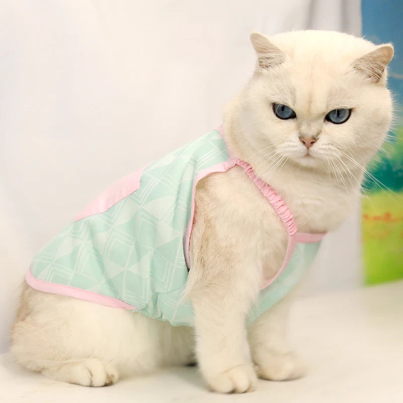Custom Pet Summer Four-legged Cool Clothes Breathable cat and Dog Sunscreen Clothes Dog Harness Leash Set
