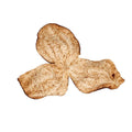 Xin Hui Chen Pi 10 Years Old Citrus Reticulata Natural Dried Whole Citrus Reticulata Orange Fruit Peels for Sale