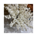 Real Looking Artifical Flowers Bulbous Orchid for Home Decoration