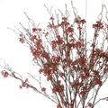 Long-Lasting Dried Preserved Plants and Wild Fruits Branch for Home Hotel or Graduation Festive Christmas Decorative Touch
