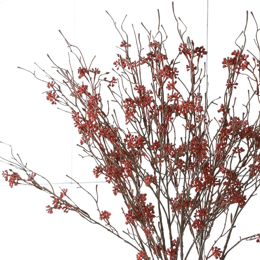 Long-Lasting Dried Preserved Plants and Wild Fruits Branch for Home Hotel or Graduation Festive Christmas Decorative Touch