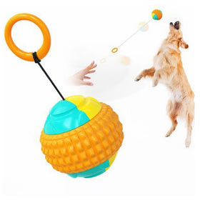 Hot-selling Molar Teeth Bite Resistant Dog Outdoor Interactive Toy Dog Training Ball Throwing Chew Toy Ball