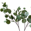 M193 Wholesale Eucalyptus Branch Greenery Real Touch Silk Silver Dollar Eucalyptus Stem Plant Artificial Leaves for Decoration