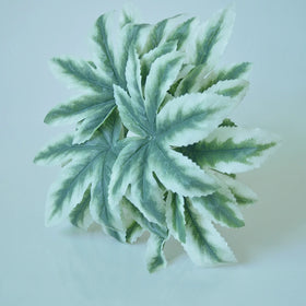 Wholesale Artificial Wealth Tree Green Leaves Plant