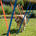 Pawise Pet Dog Weave Pole Puppy Interactive Toys Agility Equipment Exercise Training 12pcs Adjustable with Carrying Case