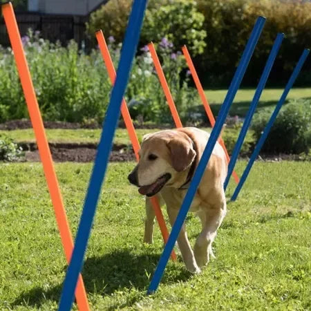 Pawise Pet Dog Weave Pole Puppy Interactive Toys Agility Equipment Exercise Training 12pcs Adjustable with Carrying Case