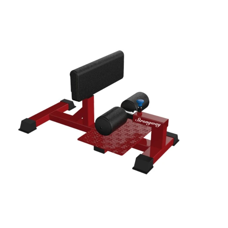 Commercial Gym Equipment Fitness Equipment Squat Stand Sissy Squat Rack
