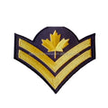 Institution Name Logo Arm Shoulder Fabric Embroidery Patches Iron-On Chenille/Twill Eco-Friendly Uniform & Hat Badges