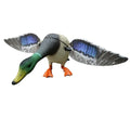 Xilei Hunting Decoy Mallard Drake and Hen Motion Motorized Duck Decoy