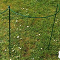 Plant Flower Orchid Peony Lily Rose Single Plant Stem Climb Flower Support