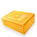 New Plastic Durable Pigeon Chicken Training Box Transport Cage with Long Life S/M/L Sizes