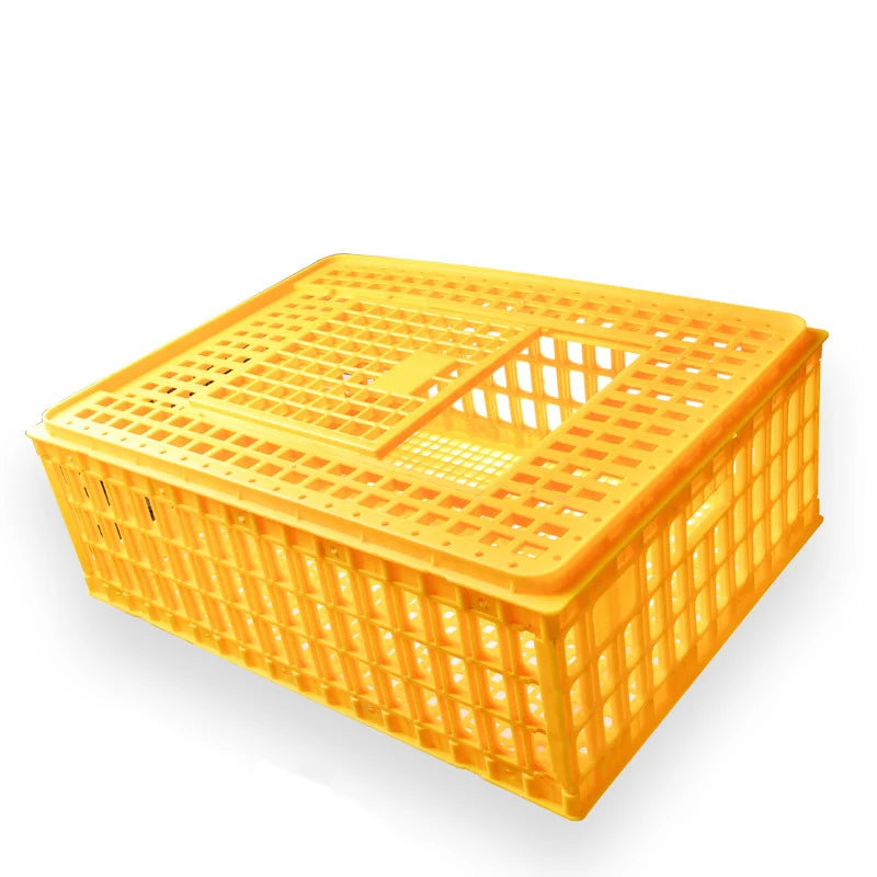 New Plastic Durable Pigeon Chicken Training Box Transport Cage with Long Life S/M/L Sizes