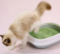 Large Pet Cat Cleaning Toilet Plastic Toilet Environmental Protection Cat Litter Box