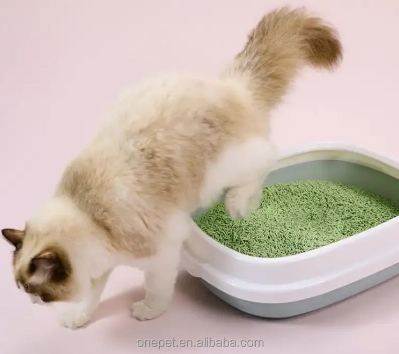 Large Pet Cat Cleaning Toilet Plastic Toilet Environmental Protection Cat Litter Box