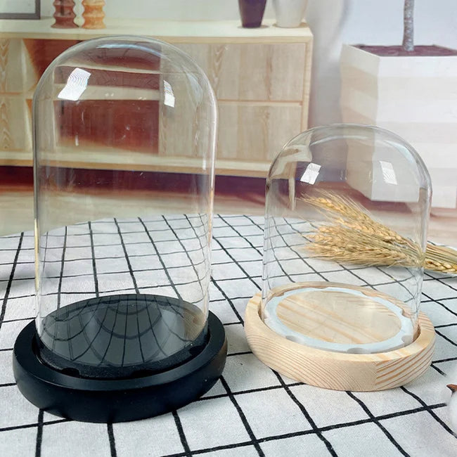 Wholesale Glass Cloche Bell Jar Dome with Black Wooden Base Different Size Glass Cover for Home Festival Decoration