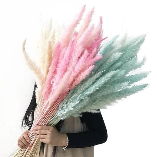 Cheap Factory Price Small Preserved  Dried Phragmites Communis Wedding Natural Dried Pampas Grass for Home Decoration