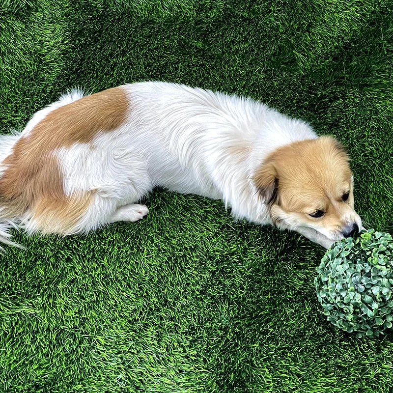 Indoor Outdoor Garden Lawn Landscape Synthetic Grass Mat Thick Artificial Grass Rug Turf Mat for Dogs Pets