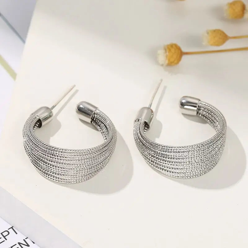 Fashion Brushed Circle Metal Earrings Euro-American C-shaped Personality Hoop Women Stud Retro Chunky Earrings