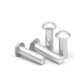 Customized Mushroom Head Rivet Pin Galvanized