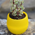 8cm S Size Mini Ball Pots Cute Planter Pots Plastic Round Pot