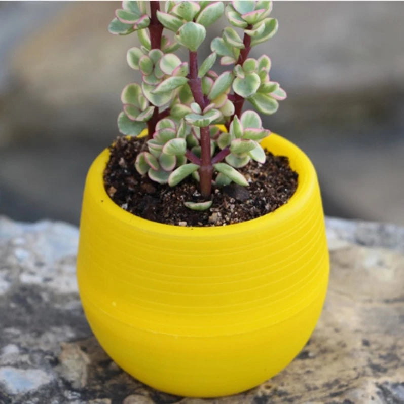 8cm S Size Mini Ball Pots Cute Planter Pots Plastic Round Pot