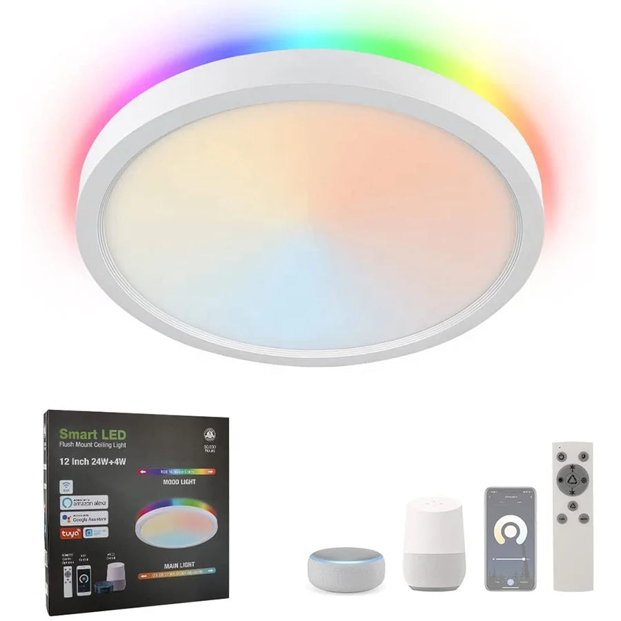 Smart WIFI LED Ceiling Fixture Work With Alexa Tuya 24W LED Ceiling Light
