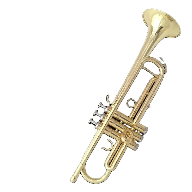 Weifang Rebon Student Beginner Bb Trumpet