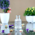 Custom Diffuser Glass Bottles Car Scent Diffuser Bottle Reed Diffuser Glass Bottle