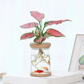 Transparent Hydroponic Flower Pot Modern Design Glass Soilless Planting Potted Green Resin Wooden Vase for Wedding