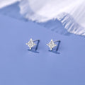 Crystal Zircon Star S925 Sterling Silver Stud Earrings for Women Jewelry Accessories YB-XY-424