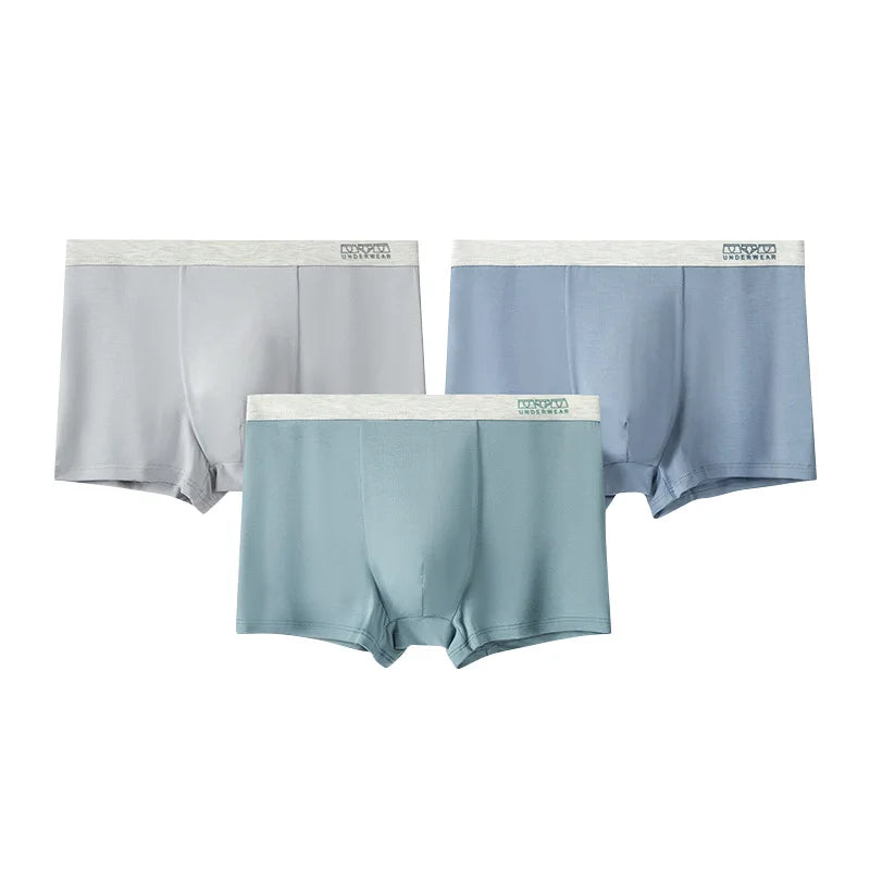 Custom Men's Microfiber Trunks Breathable Covered Band Underwear Multipack OEM Logo Supplier for Bulk Orders