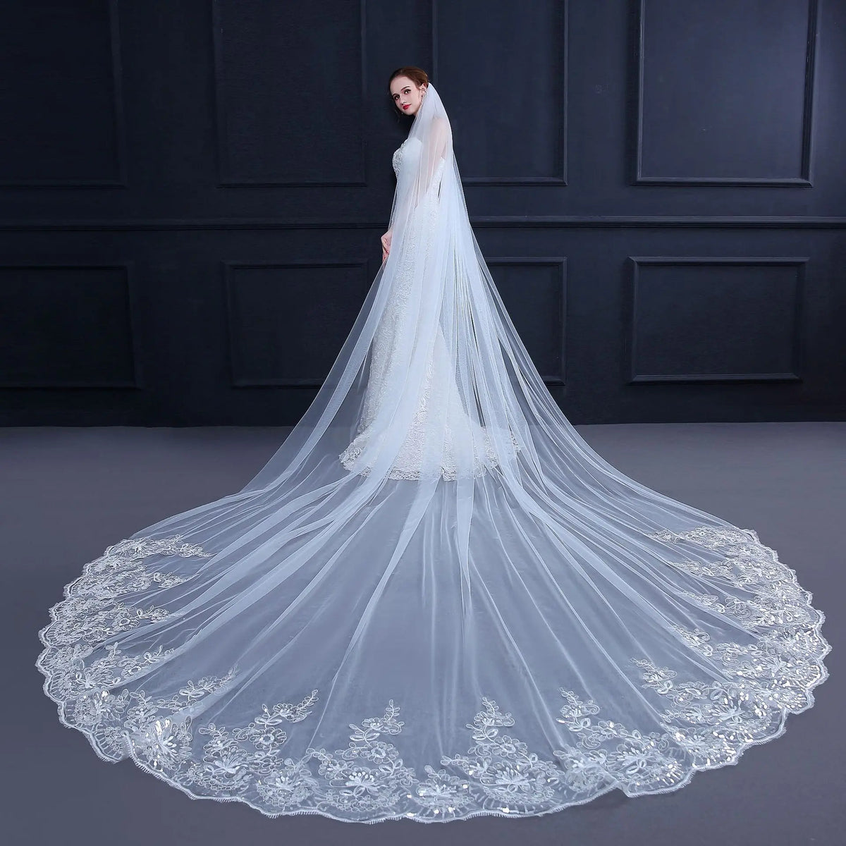 ROMANTIC Soft Bridal Veil Wedding Veil Sequins Lace Long Bridal Veil with Comb