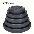 PINJIAN Steel Barbell Weight Lifting Plate Rubber Cover Gym Cement Calibrated Cast Iron Kilogram Weight Plates