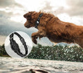 New Design Anti Lost Pet Collars Nylon Dog Tactical Training GPS Dog Collar Airtag Collar