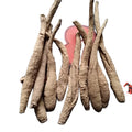 Du Jiao Dang Gui Natural Dried Whole Vicatia Thibetica Roots for Sale