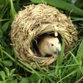 Small Pet Two-Hole Grass Nest and Tunnel - Grass Woven Hideout for Hamsters Dwarf Hamsters Guinea Pigs - Pet Supplies