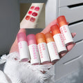 Wholesale HERORANGE  Lip Gloss 6- Colors Private Label Matte Lipstick