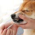 Wholesale Pet Scaling Stone Cleaning Tools Stainless Steel Dog Teeth Cleaning Pens