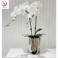 Simple Pleated Electroplated Shiny Flower Vase Living Room Ornaments Entrance Coffee Table Ceramic Vase Decoration Wholesale
