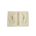 Human 3D Silicon Ear Model