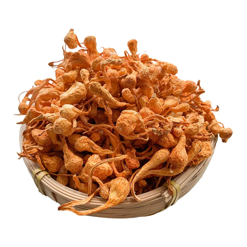 Cheap Price Cordyceps Militaris Mushrooms Head Fruit Dried Cordyceps Militaris Flower for Sale