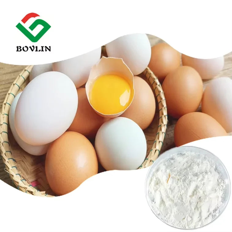 Wholesale Price Alpha-lactalbumin Extract Powder 65% Whey Protein Lactalbumin