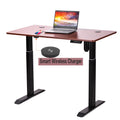 Factory Direct Supply Single Motor Electric Standing Office Desk Height Adjustable Standing Desk