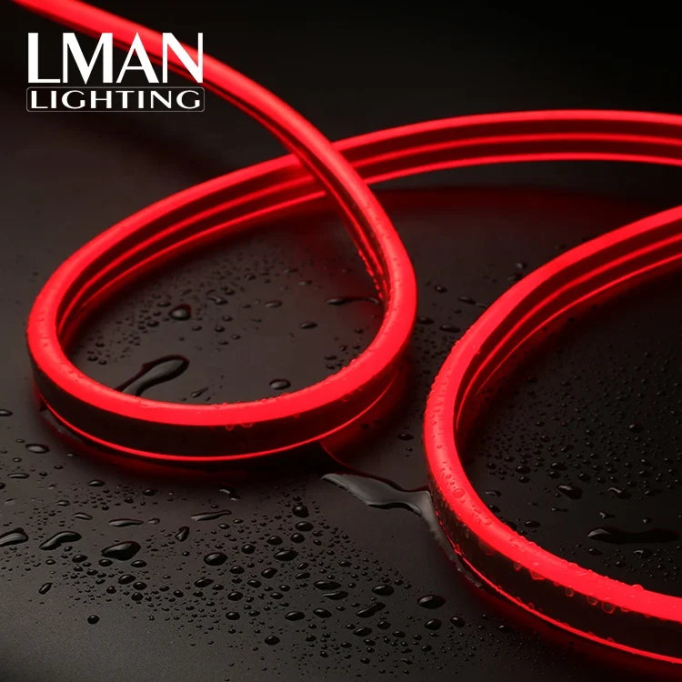 Outdoor Decorative IP65 Waterproof LED Neon Flex Strip PVC PCB SMD2835 120LEDs/m AC 110V for Decorative Outdoor Neon Lights