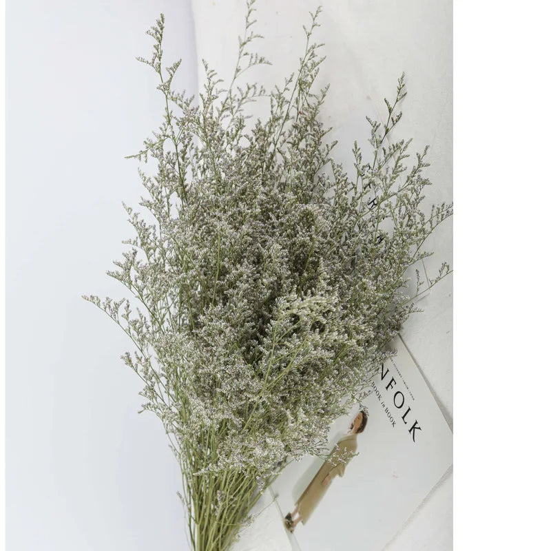 OX279 Natural Dried Limonium Flower Lover Grass Deried Limonium Caspium Decorative Flower bunch Dried Flower Bouquet Lovergrass